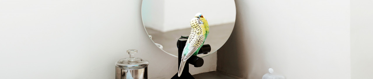 Зеркало круглое (белый / серебристый) 124 x 124см