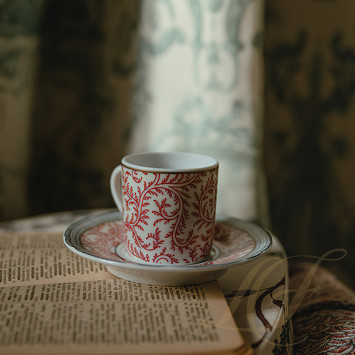 Чашка эспрессо с блюдцем 60мл коллекции Braquenie бренда Bernardaud