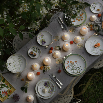 Коллекция Jardin Indien бренда Bernardaud