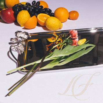 Поднос прямоугольный с ручками 53 x 42см коллекции Anemone 