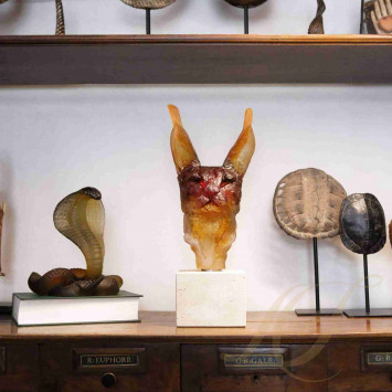 Коллекция Carabantes Isabelle бренда Daum