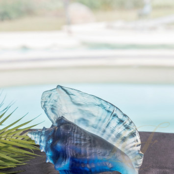 Коллекция Mer de Corail бренда Daum