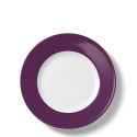 Тарелка 28см коллекции Solid Color 