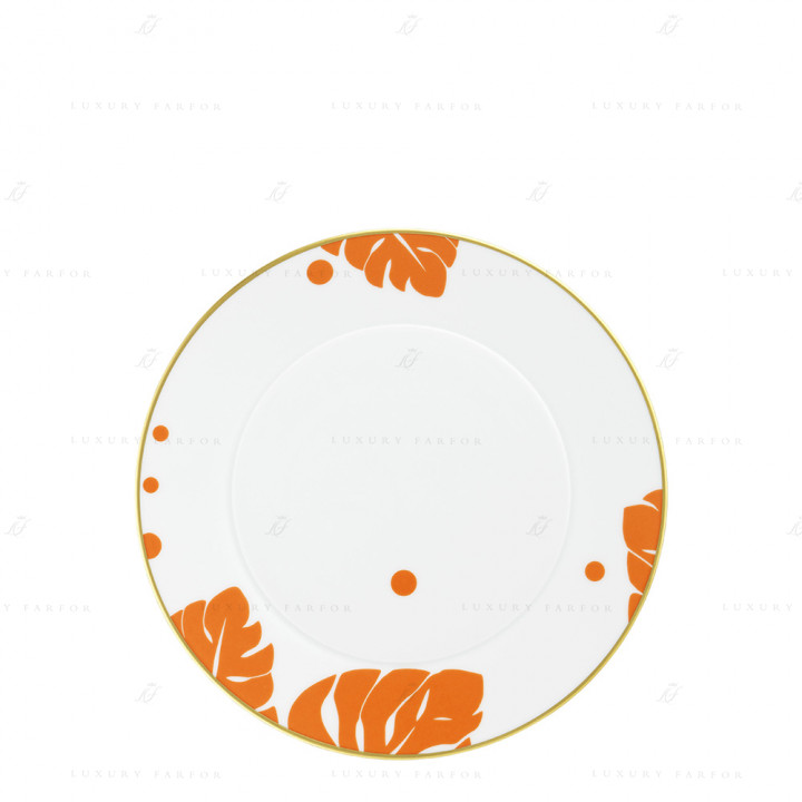 Тарелка закусочная 24см коллекции Auréole Colorée 