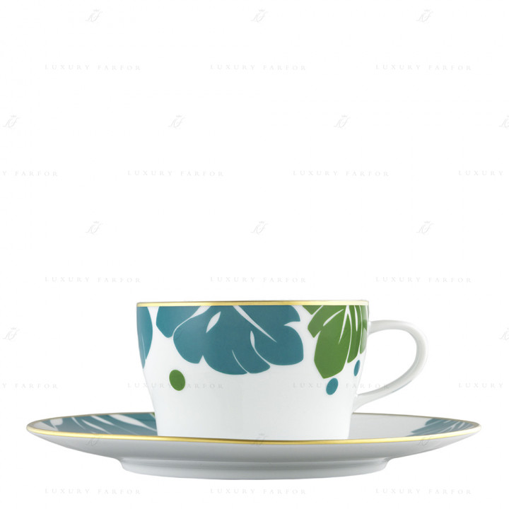 Чашка чайная с блюдцем 0,20л коллекции Auréole Colorée 