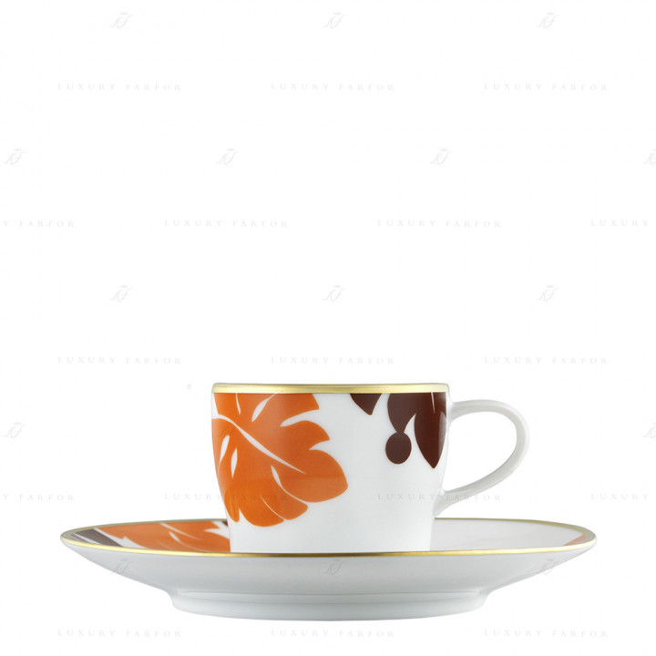 Чашка эспрессо с блюдцем 0,07л коллекции Auréole Colorée 