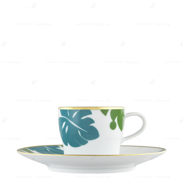 Чашка эспрессо с блюдцем 0,07л коллекции Auréole Colorée 