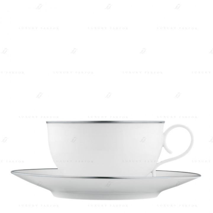 Чашка чайная с блюдцем 0,22л коллекции Carlo Dal Bianco Platino бренда Fürstenberg