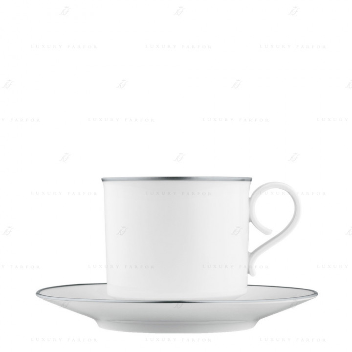 Чашка капучино с блюдцем 0,26л коллекции Carlo Dal Bianco Platino бренда Fürstenberg