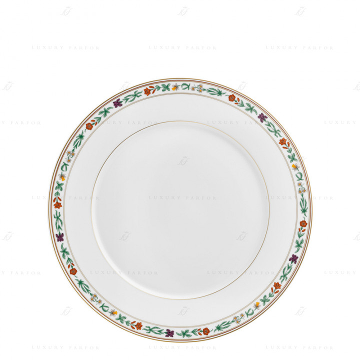 Тарелка главная 