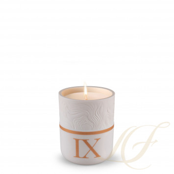 Ароматическая свеча IX 
