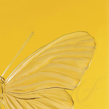 Декоративная панель 