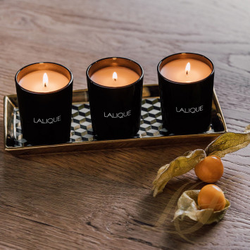 Ароматическая свеча 75г., 3шт. коллекции Voyage de Parfumeur 