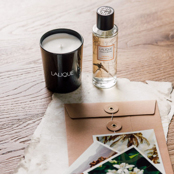 Ароматы для дома 100мл коллекции Voyage de Parfumeur 