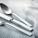 Набор столовых приборов на 6 персон, 24 предметов коллекции Riva 