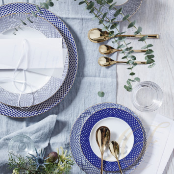 Коллекция Francis Carreau Bleu бренда Rosenthal