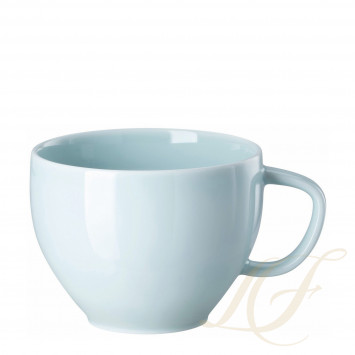 Чашка с блюдцем 0,28л коллекции Junto Opal Green бренда Rosenthal