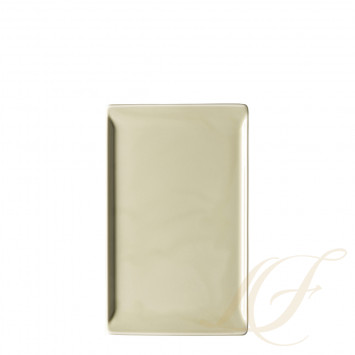 Блюдо прямоугольное 24см коллекции Mesh Colour 