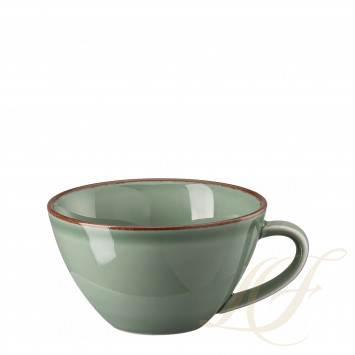 Чашка с блюдцем 0,23л коллекции Profi Casual Moss бренда Rosenthal