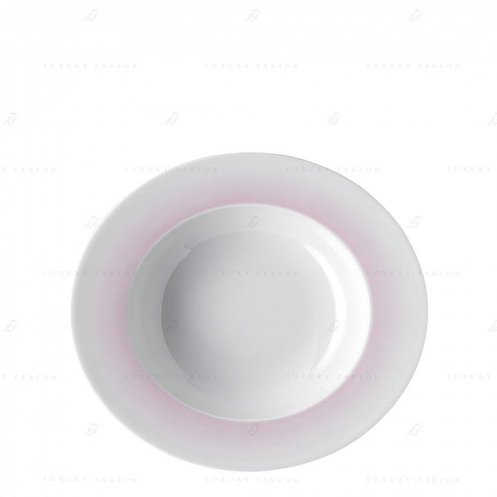 Тарелка суповая 24см коллекции Velvet Rose бренда Rosenthal