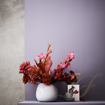 Коллекция Vesi бренда Rosenthal