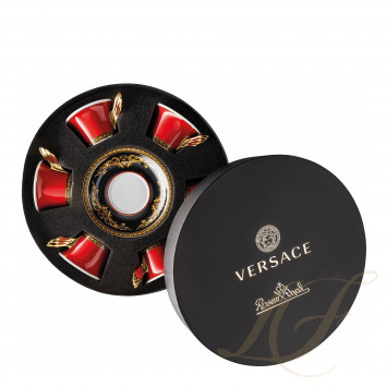 Чашка чайная 0,22л, набор из 6 шт.  коллекции Medusa бренда Rosenthal Versace