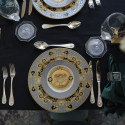 Столовый сервиз на 6 персон коллекции Prestige Gala бренда Rosenthal Versace