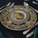 Столовый сервиз на 6 персон коллекции Prestige Gala бренда Rosenthal Versace