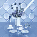 Коллекция Signum by Swarovski бренда Rosenthal