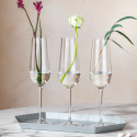 Фужер для шампанского 0,29л, 4шт. коллекции Rose Garden бренда Villeroy & Boch