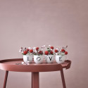 Коллекция Letters бренда Villeroy & Boch