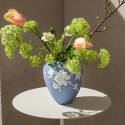 Коллекция Magnolia Blossom бренда Wedgwood