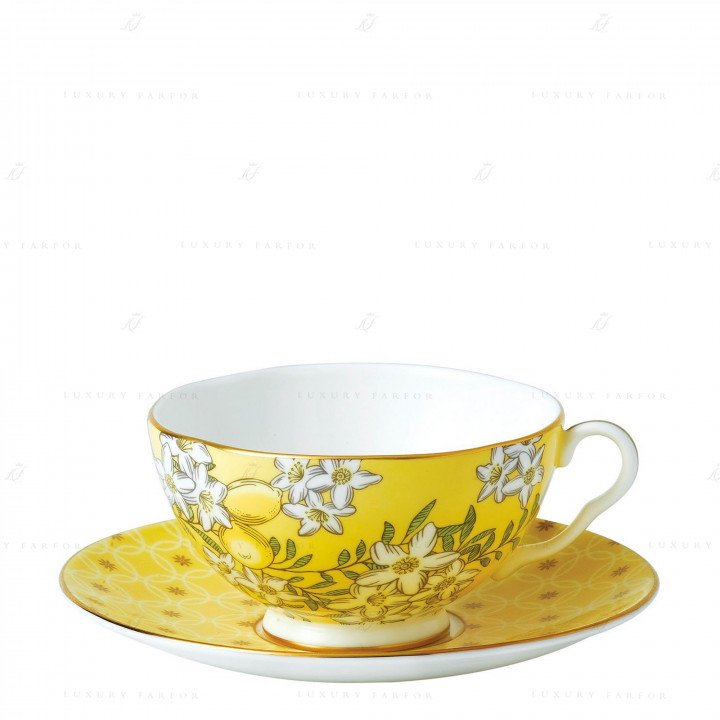 Чашка чайная с блюдцем 250мл коллекции Tea Garden 