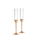 Флюте для шампанского 150мл, 2шт. коллекции Vera Wang - Love Knots бренда Wedgwood