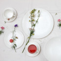 Коллекция Wild Strawberry 